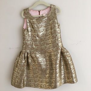Cat and jack gold shimmer dress